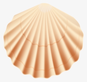 Seashell Transparent Png Clip Art Image - Transparent Background Shell Clip Art