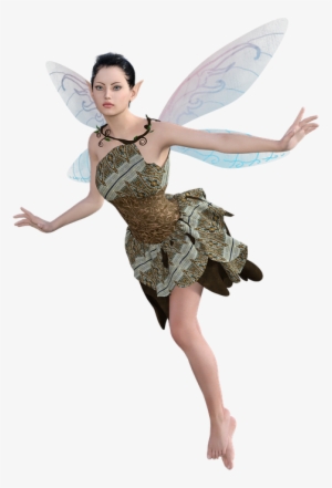 Fairy