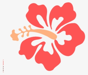 How To Set Use Coral Hibiscus Clipart