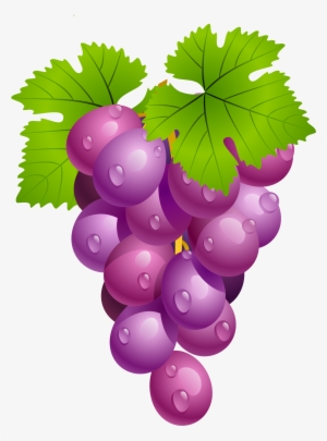 Grapes With Leaves Png Picture Clip Art - Therapy House Of Fraser