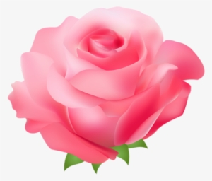 Clip Art Pink Floral - Pink Rose Art Png