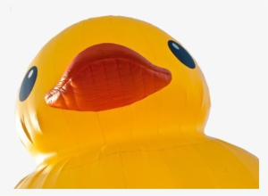 Disgruntled Ramblings And Designs - Rubber Ducky Transparent Background