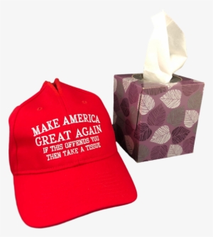 Easily Offended Tissue Hat Box Cover Make America Great - Snowflake Maga