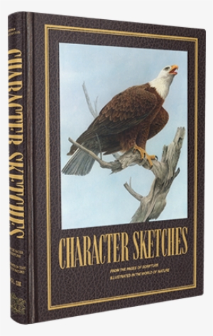 View Table Of Contents - Hardcover: Character Sketches From The Pages Of Scripture