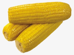 Corn Png Picture - Yellow Corn
