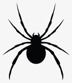 Spiders In Minnesota Homes And Offices - Pickens Pest Control