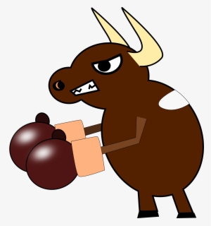 Bull Fights - Cow With Boxing Gloves