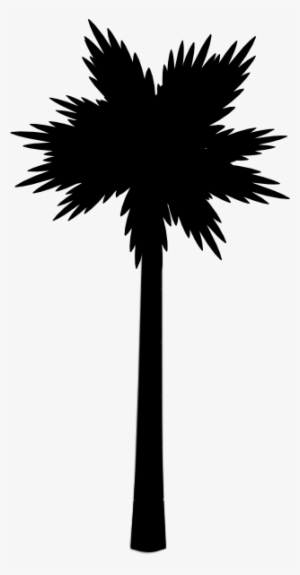 Png Library Download Tree Clip Art Panda Free Images - Palm Tree Clip Art