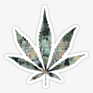 Pot Leaf By Mstark Ganja Transparent Png 375x360 Free Download On Nicepng - roblox weed leaf shirt