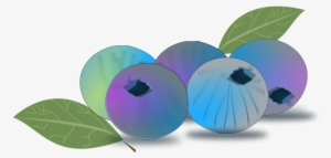 Blueberry Free Vector - Arandanos Vector Png