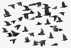 Mumtaztic Pigeon Loft - Tó, Portugal