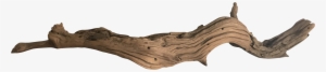Koyal California Chairish Clipart Royalty Free Download - Driftwood Png