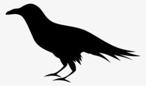Download Free Png Transparent Image And Hd - Raven Clipart