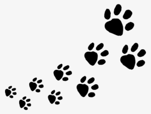Rabbit Vector Foot Print - Dog Footprints Png