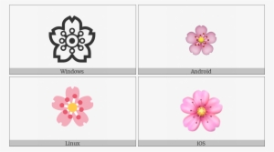 Cherry Blossom On Various Operating Systems - Primula