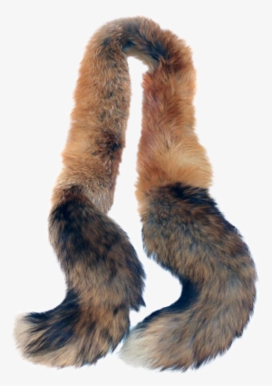 Fox Tail Png Download Transparent Fox Tail Png Images For Free Nicepng - fox tail roblox fox tail code free transparent png