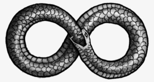 Ouroboros Png Picture - Figure Of 8 Snake