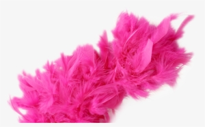 Comments - Transparent Pink Boa