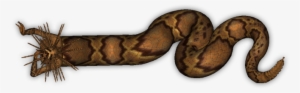 Naga Dig-6 - Lyre Snake