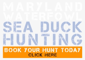 Book Your Hunt - Motor Ombudsman Logo Png