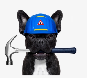 French Bulldog Dog Daze Industrial Plumbing Stock Photography - Dog With Paint Brush