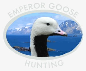 Emperor Goose Hunting Logo - Snow Goose