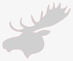 Elk