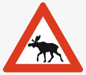 Moose - Bahnübergang Ohne Schranken