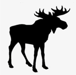 Moose Silhouette