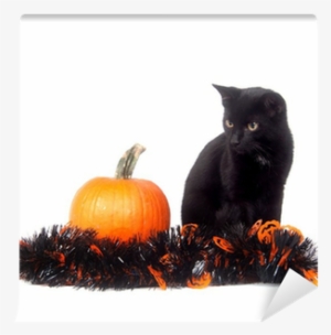 Black Cat With Pumpkin And Tinsel Wall Mural • Pixers® - Cat