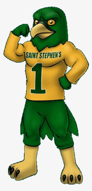 Illustration Of Freddy Falcon - St Stephen's Episcopal School Mascot