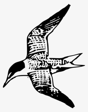 Kelan Lestern Clip Art Free Vector - Clip Art