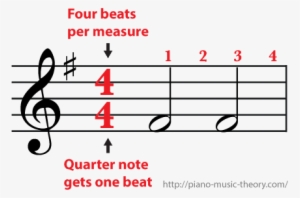 4/4 Time Signature - Whole Note In Measure