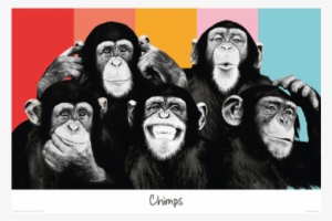 The Chimp Compilation