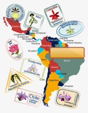 Map Of Latin America - Latin America Cultural Map