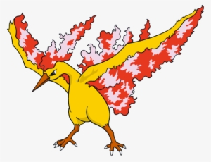 Moltres - Pokemon Legendary Birds Moltres