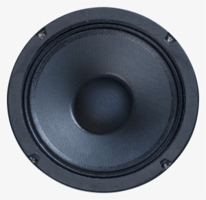 P6v Bottom View - Altavoz Dinamico