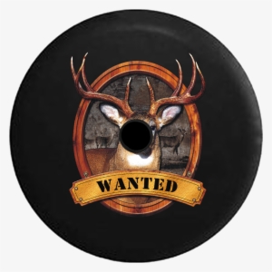 Jeep Wrangler Jl Backup Camera Day Wanted - Wanted: Big Buck Deer Antlers Mounted Hunting Spare