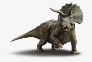 Triceratops - Jurassic World Fallen Kingdom Baby Triceratops