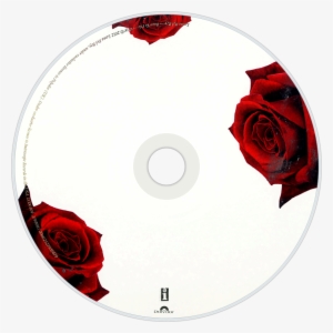 Lana Del Rey Born To Die Cd Disc Image - Lana Del Rey Born To Die Disc