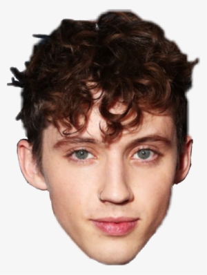 Report Abuse - Troye Sivan Face Png