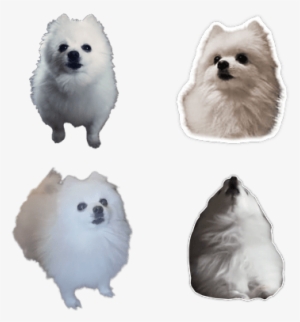 Gabe The Dog Png