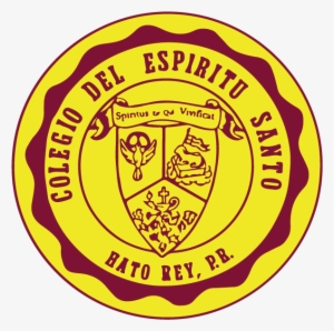 Colegio Del Espiritu Santo - School