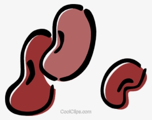 Kidney Bean - Gif Fagioli