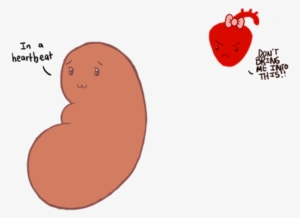 Image - Happy Kidney