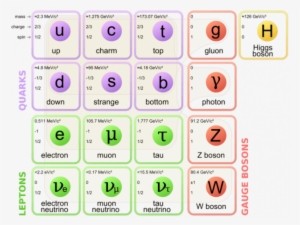 Elementary Particles, Of Which Neutrinos Are One Kind - Standard Model Of Particle Physics