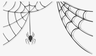 Corner Transparent Spider Web Graphic Royalty Free - Halloween Spider Web Clipart