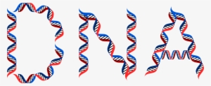 Typography Icons Free And - Dna .png