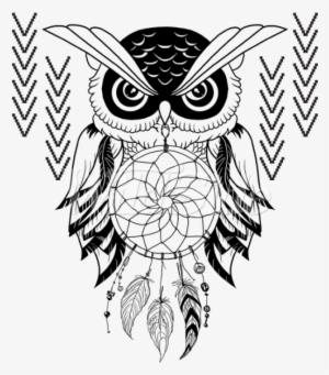 Image Transparent Download Owl Drawing At Getdrawings - Owl Dream Catcher Png