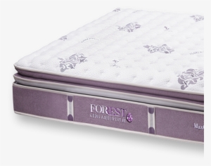 The New Maxcoil Forrest Amethyst Collection Features - Mattress